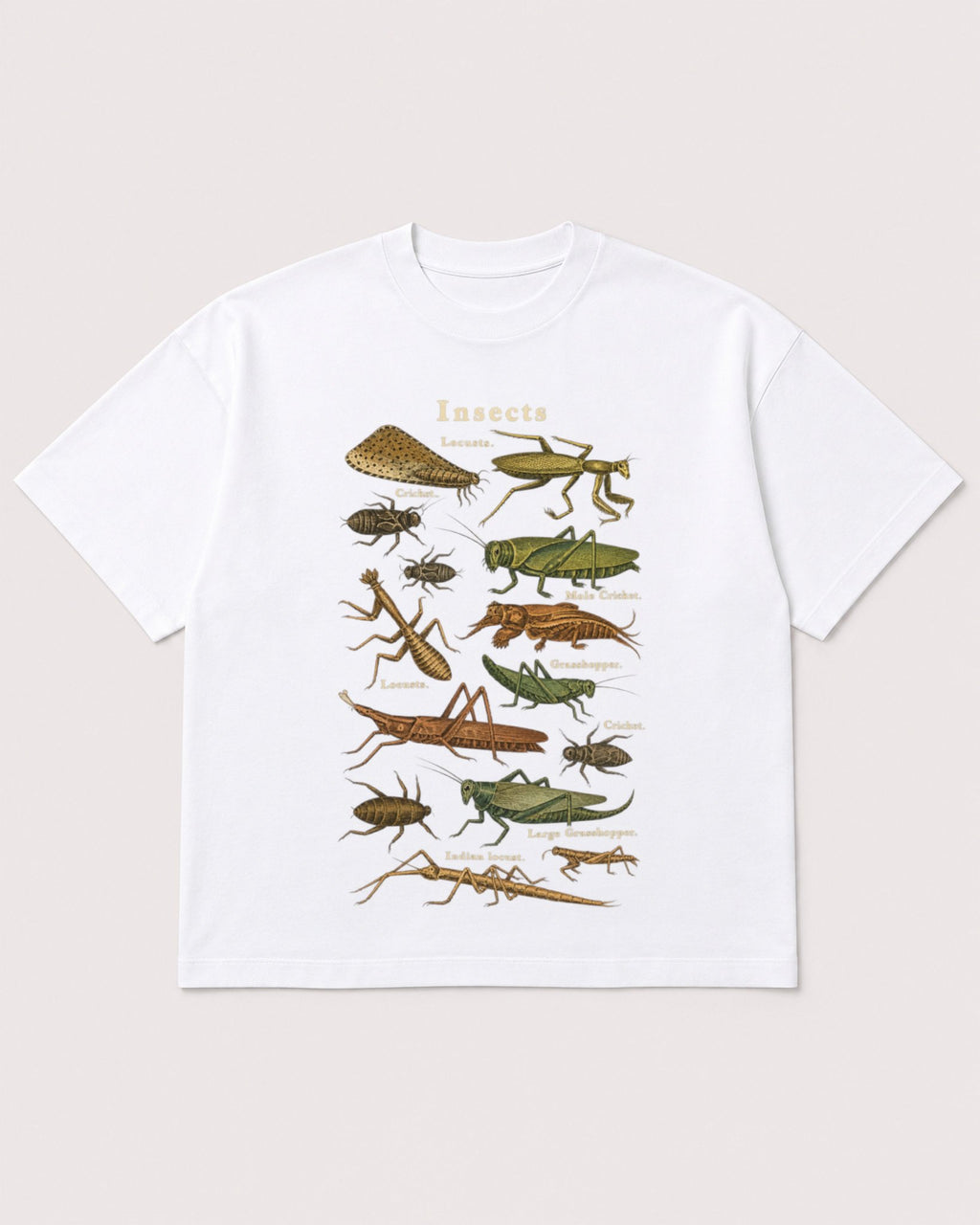 Mockup Boxy Heavyweight Tee White product