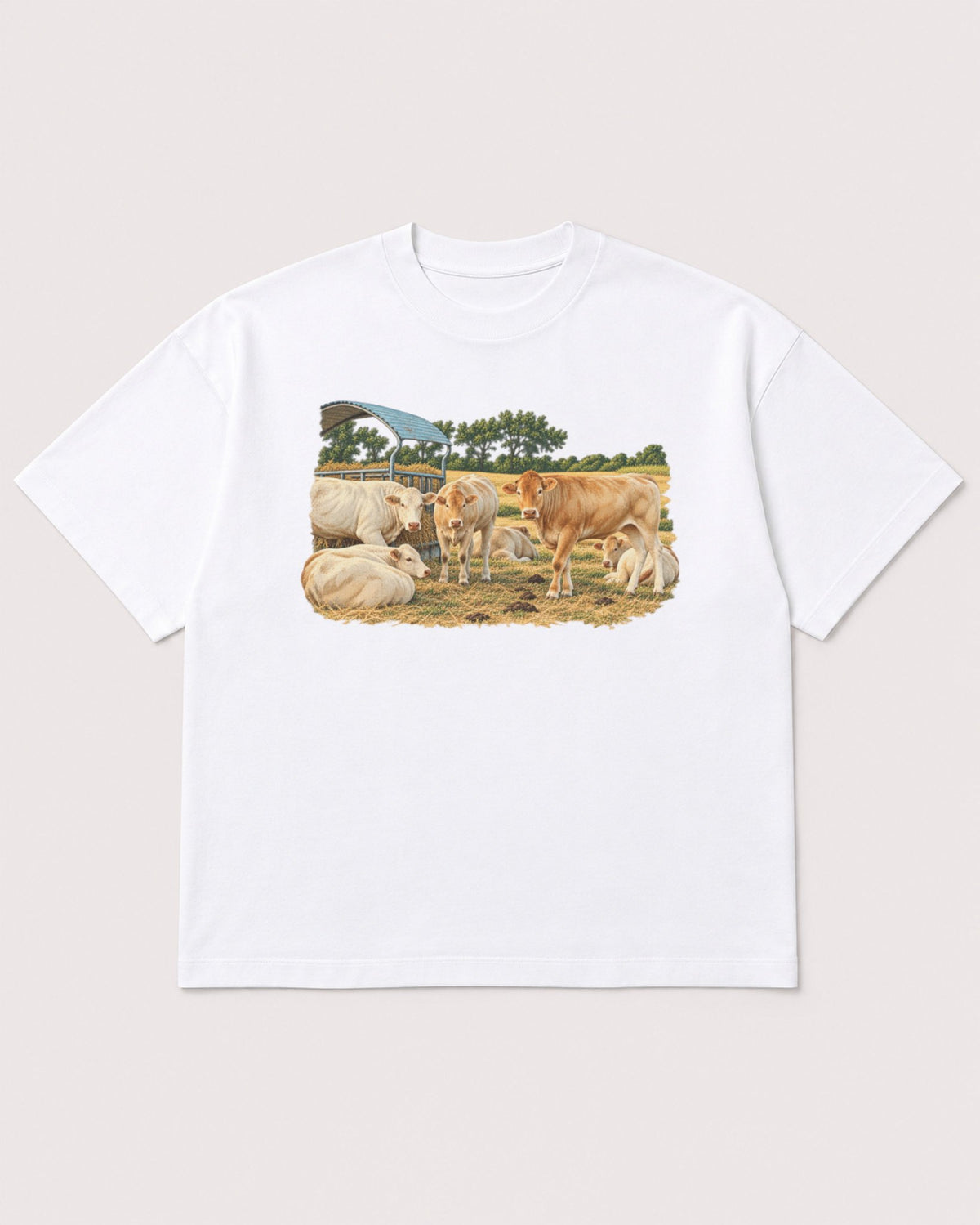 Mockup Boxy Heavyweight Tee White product