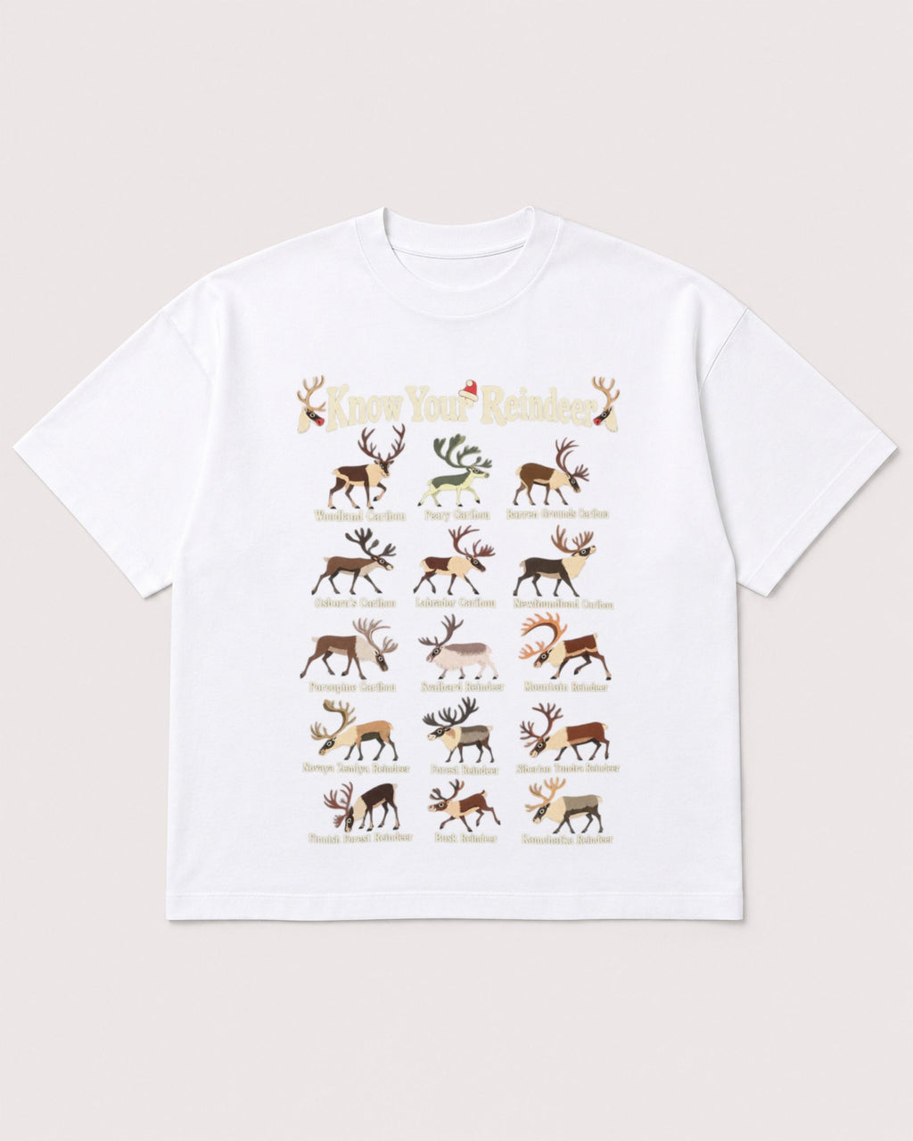 Mockup Boxy Heavyweight Tee White product
