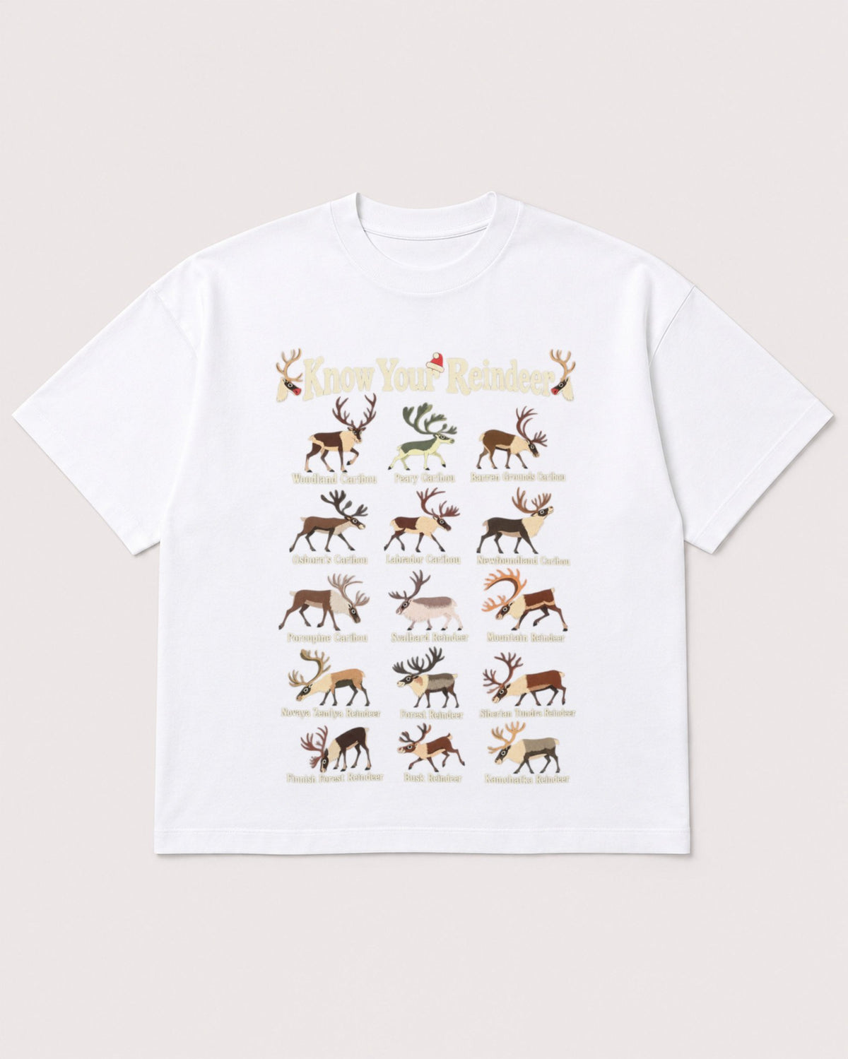 Mockup Boxy Heavyweight Tee White product