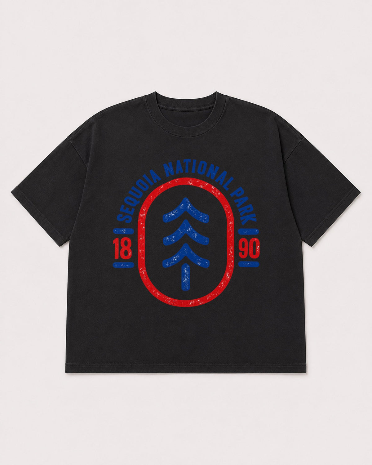 Mockup Boxy Heavyweight Tee Black product