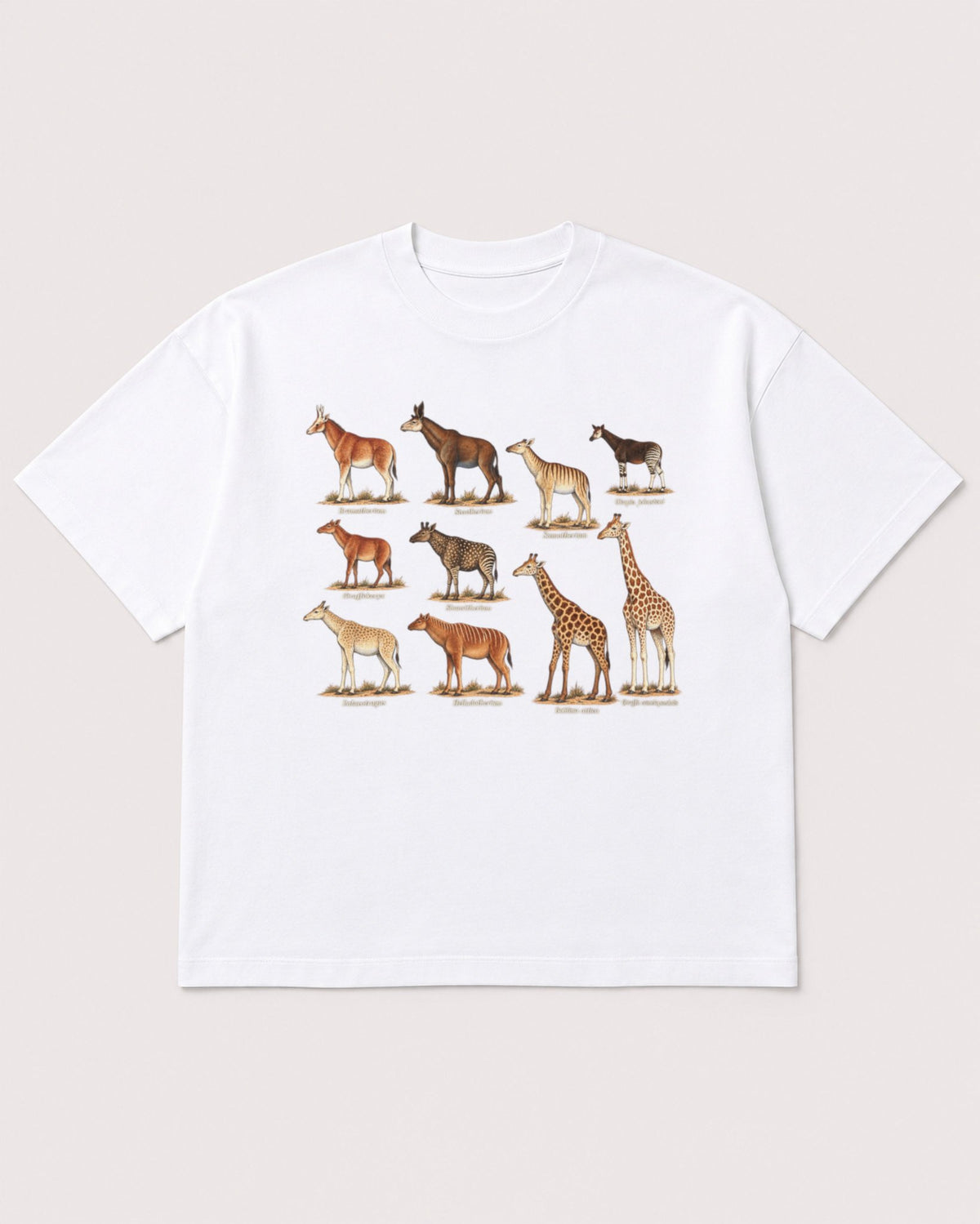 Mockup Boxy Heavyweight Tee White product