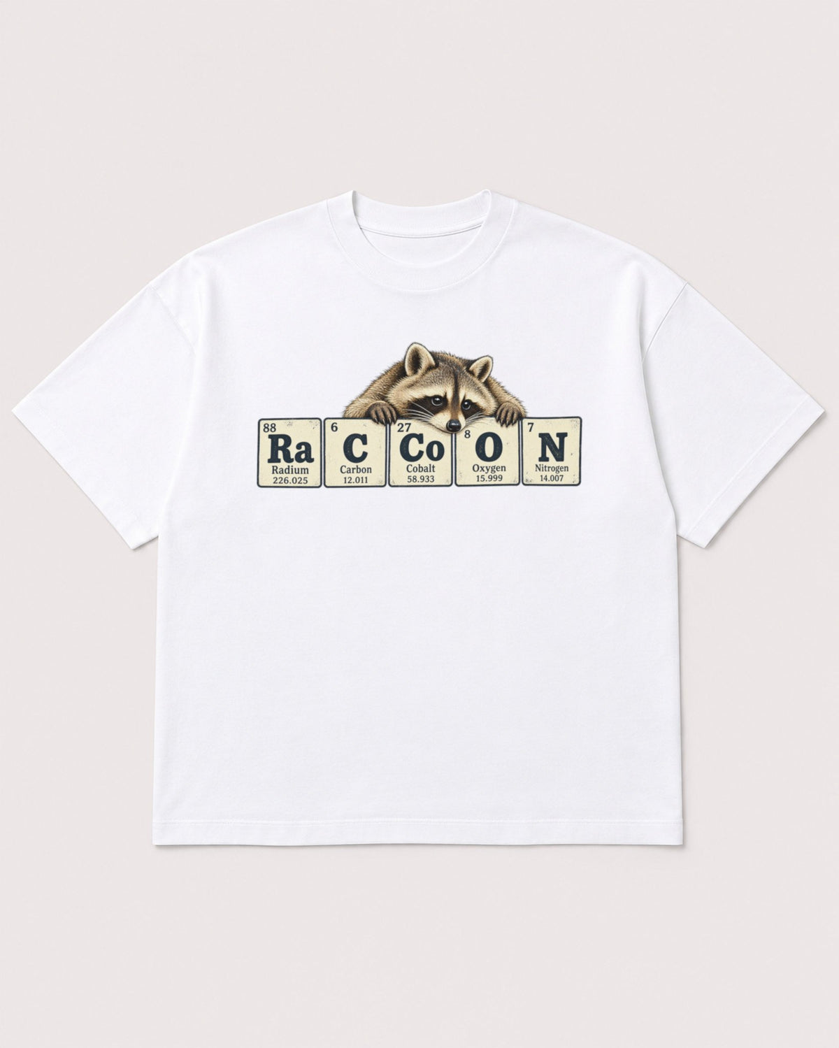 Mockup Boxy Heavyweight Tee White product