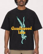 Mockup Boxy Heavyweight Tee Black male close-up 04