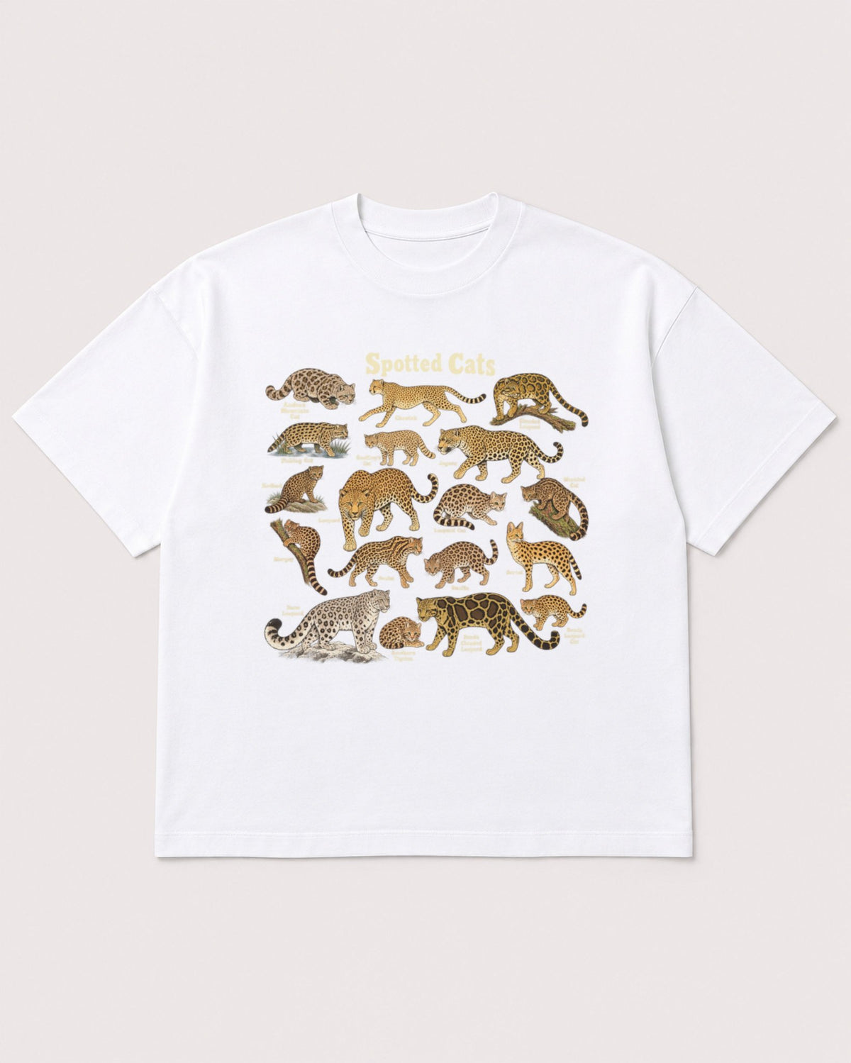 Mockup Boxy Heavyweight Tee White product