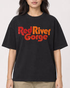 Mockup Boxy Heavyweight Tee Black female close-up 02