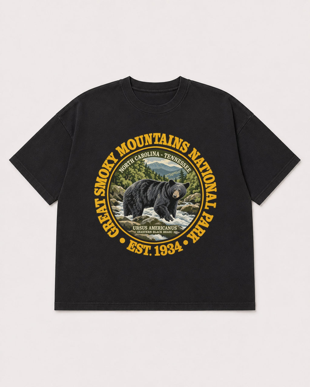 Mockup Boxy Heavyweight Tee Black product