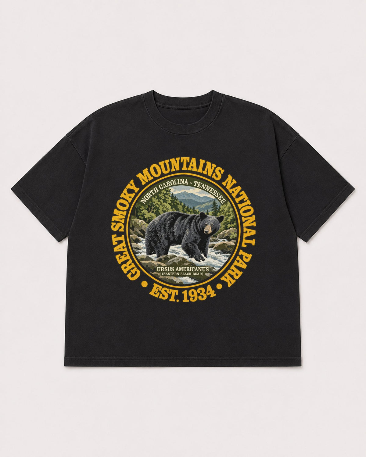 Mockup Boxy Heavyweight Tee Black product