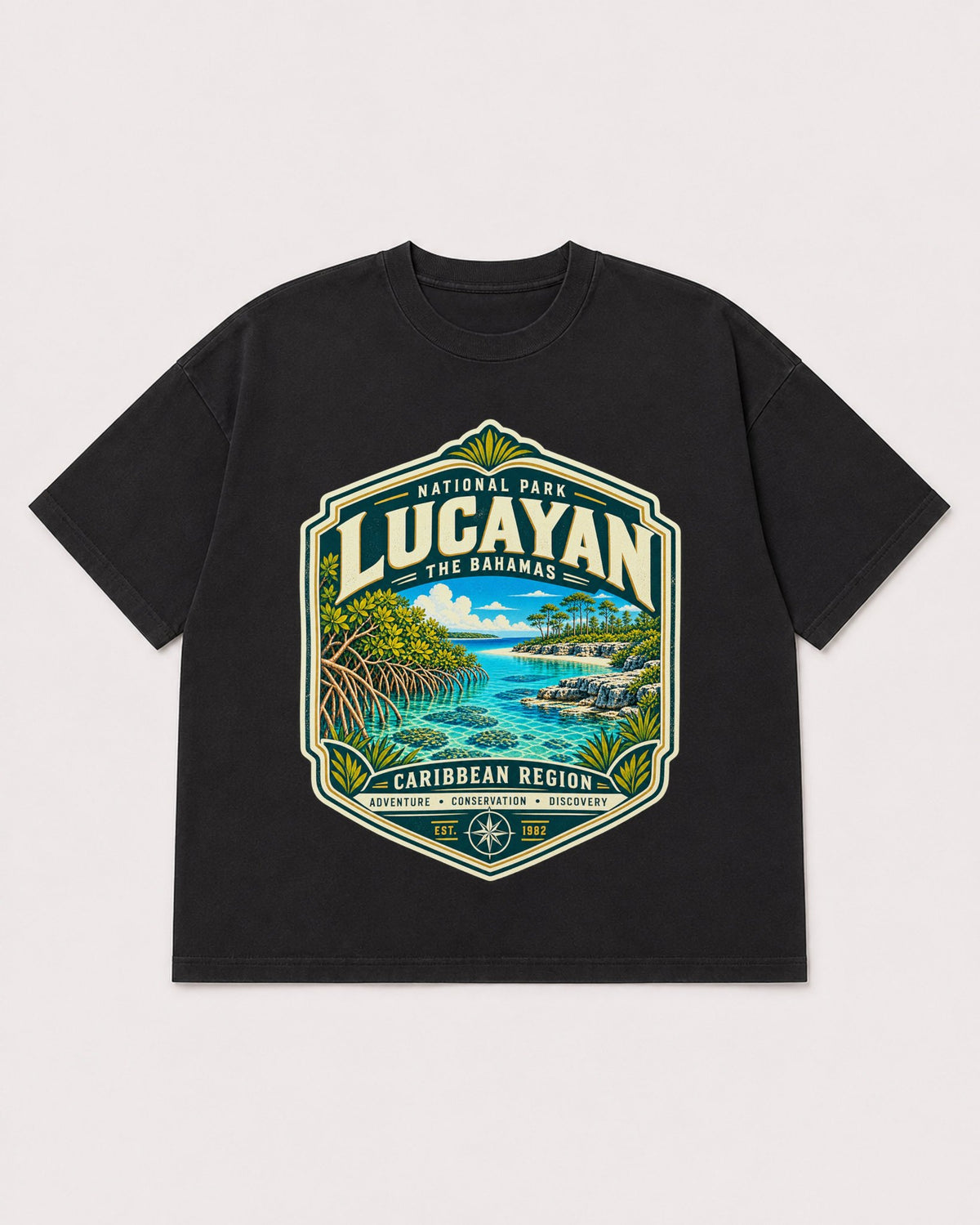Mockup Boxy Heavyweight Tee Black product