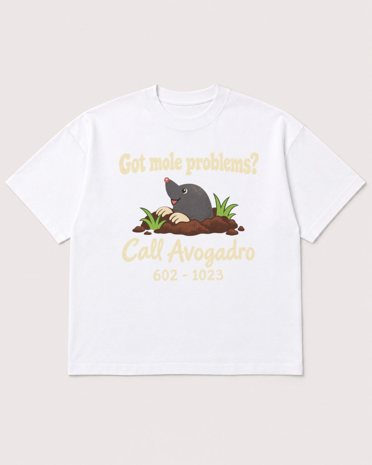 Mockup Boxy Heavyweight Tee White product