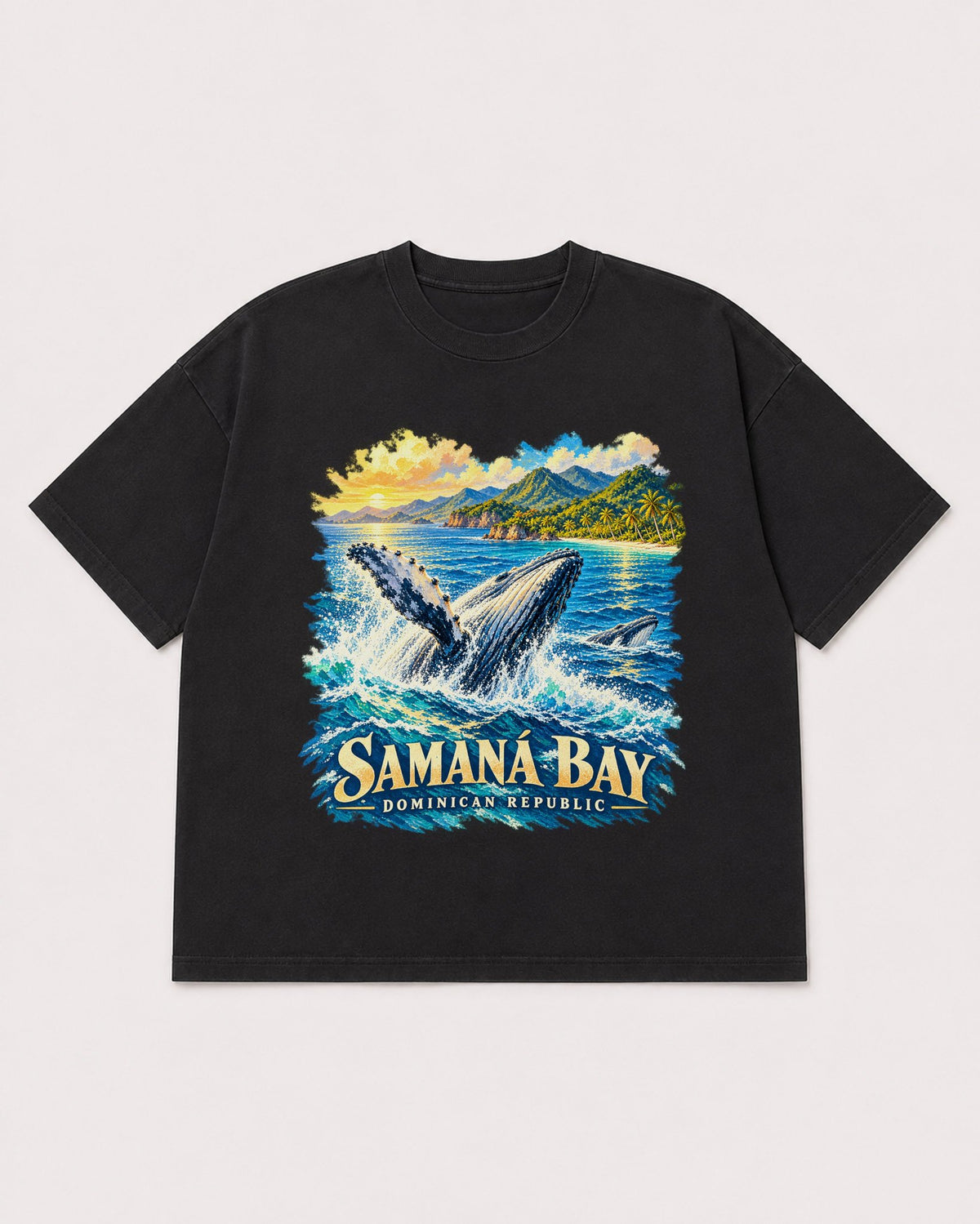 Mockup Boxy Heavyweight Tee Black product