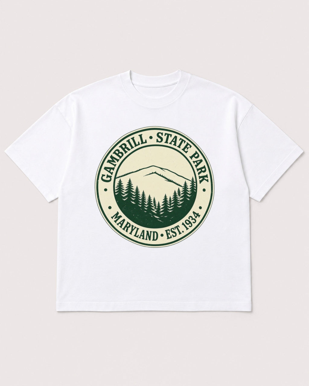 Mockup Boxy Heavyweight Tee White product