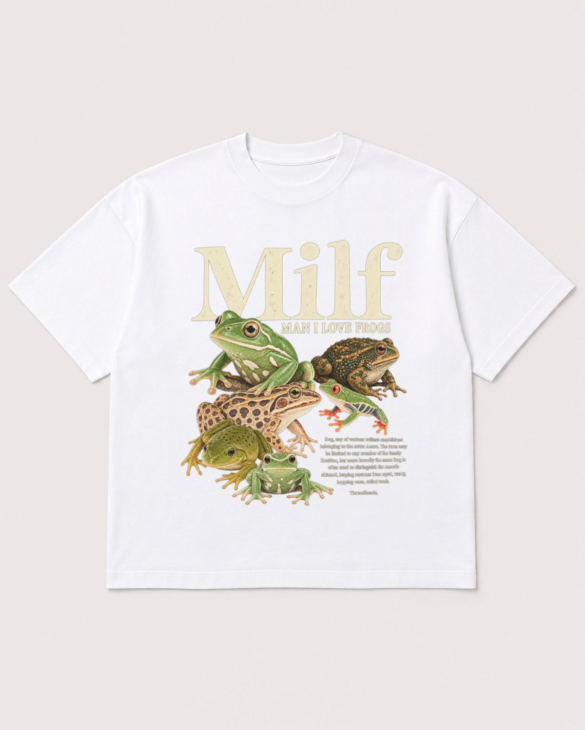 Mockup Boxy Heavyweight Tee White product