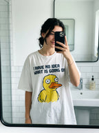 The "Existential Duck Crisis" Artifact