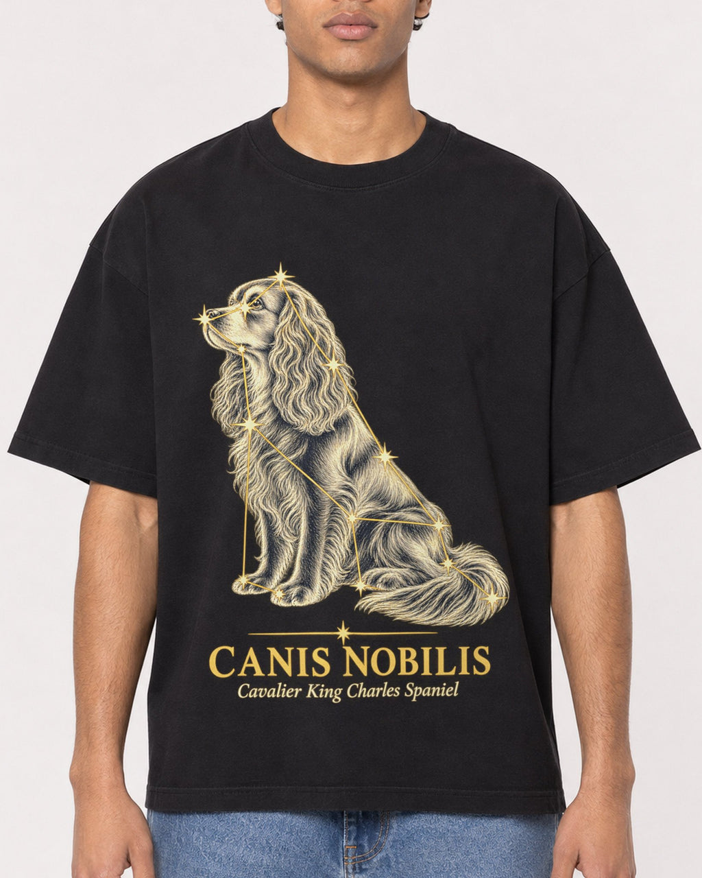 Mockup Boxy Heavyweight Tee Black male close-up 10