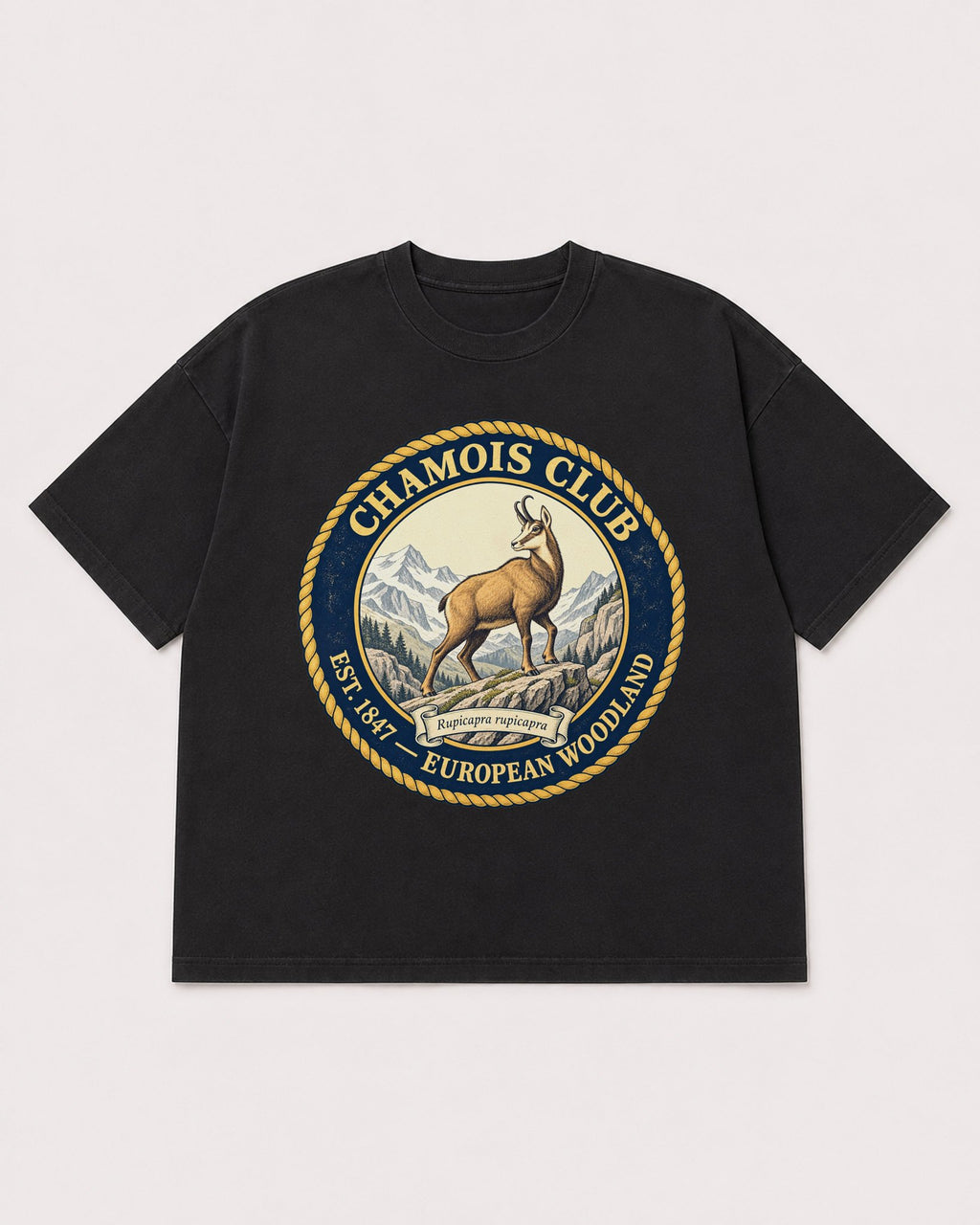 Mockup Boxy Heavyweight Tee Black product