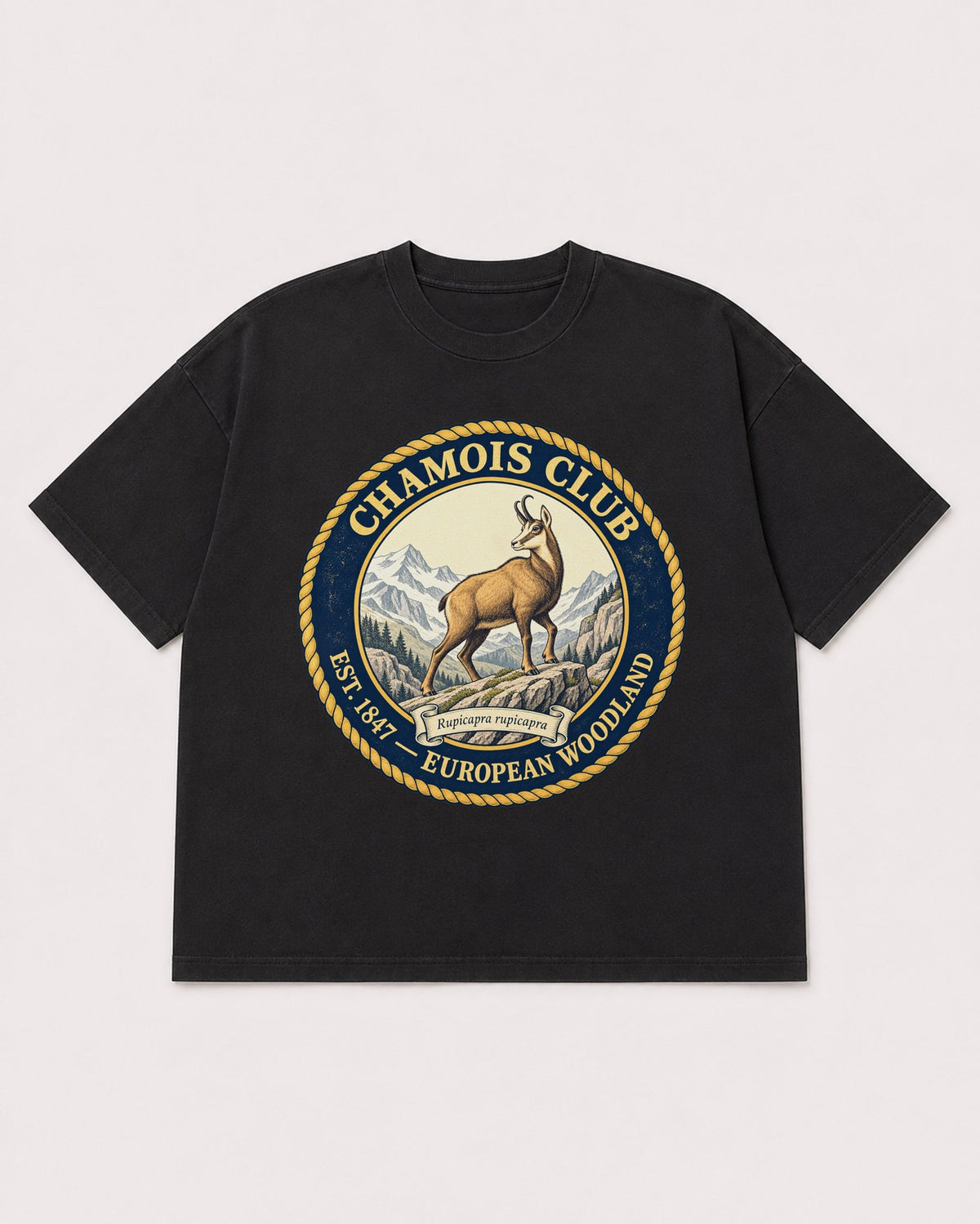 Mockup Boxy Heavyweight Tee Black product