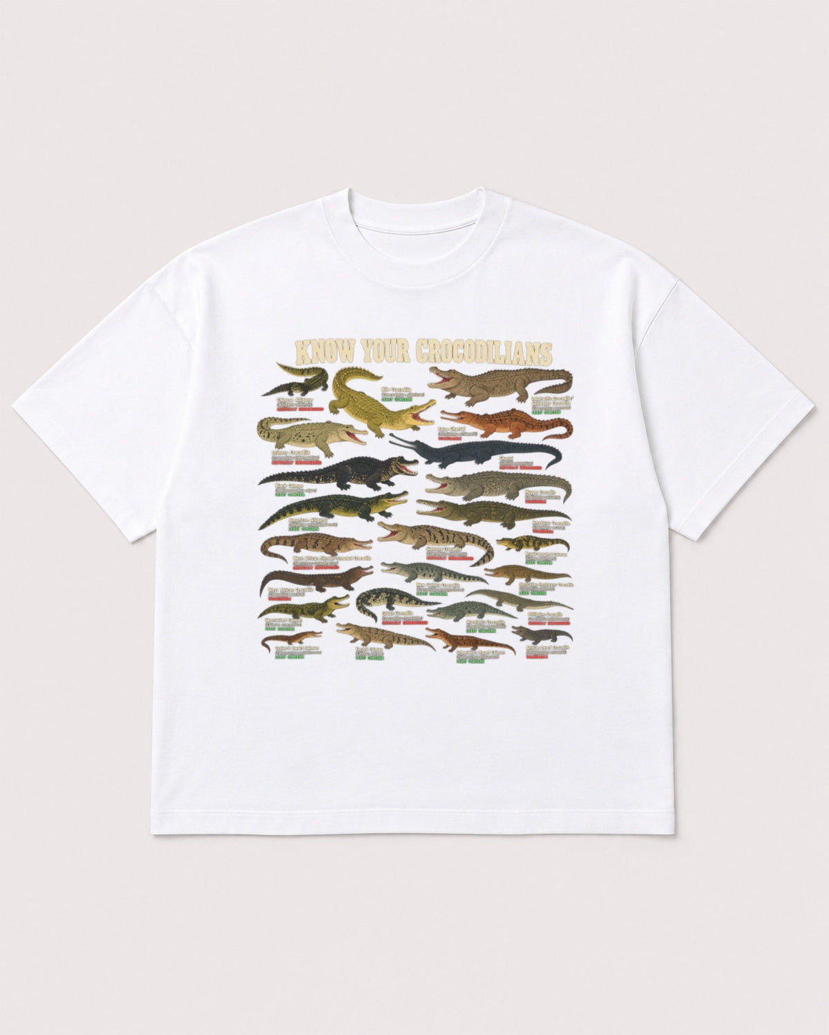 Mockup Boxy Heavyweight Tee White product